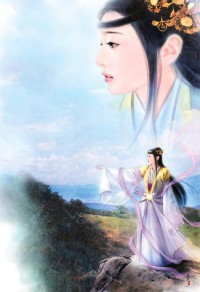 妻主 女尊