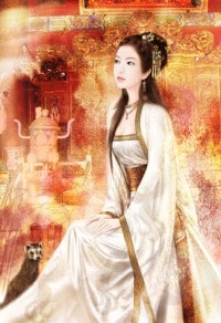 穿越到大蛇无双