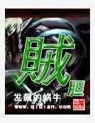 贼胆