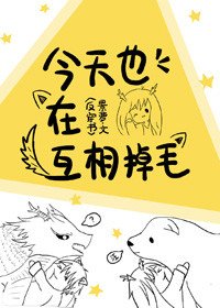 今天也在互相掉毛